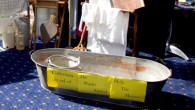 Charity collection Great news! After each screening we had a retiring collection to raise funds for two charities which Anna chose due to their amazing work supporting war heroes from WW2 to...